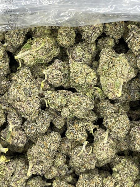 MAC cannabis strain, community photo 4