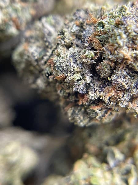 MAC cannabis strain, community photo 5
