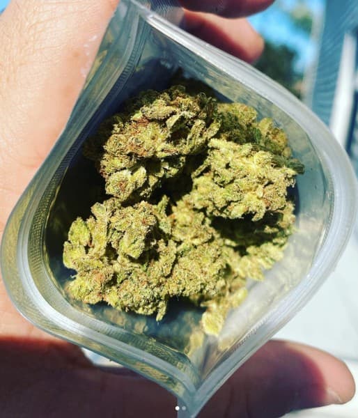 MAC cannabis strain, community photo 6