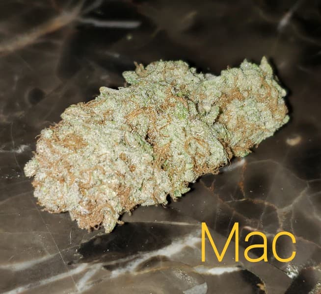 MAC cannabis strain, community photo 7
