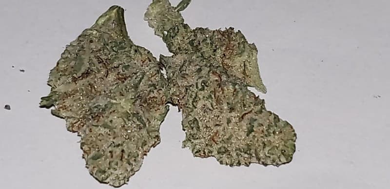 MAC cannabis strain, community photo 8