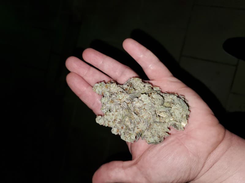 MAC1 cannabis strain, community photo 3