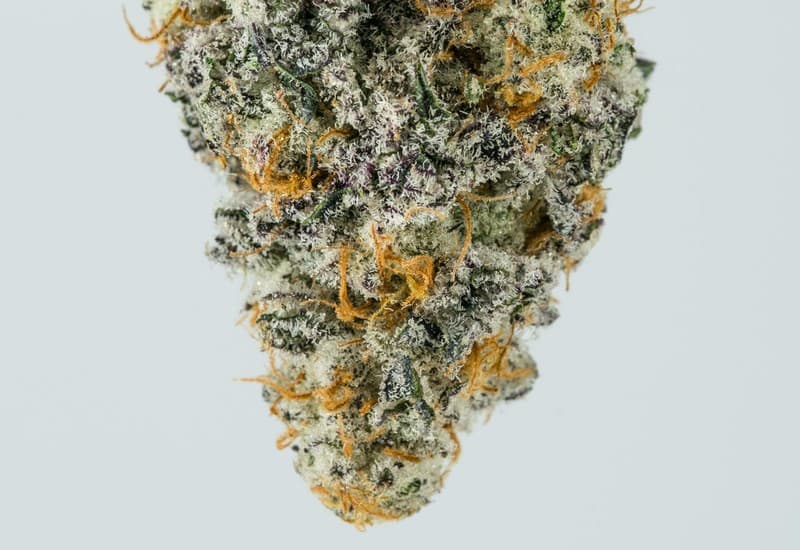 MAC1 cannabis strain, community photo 4