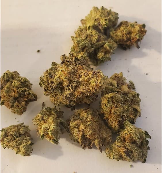 MAC1 cannabis strain, community photo 5