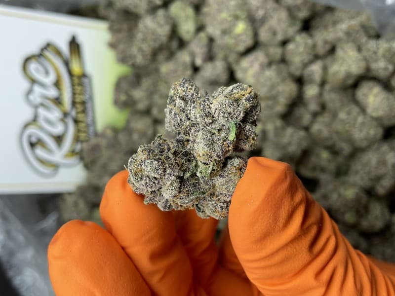 Mai Tai cannabis strain, community photo 1