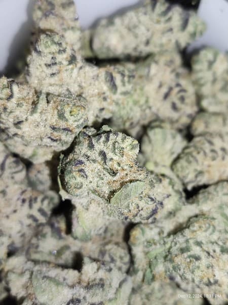 Mai Tai cannabis strain, community photo 3