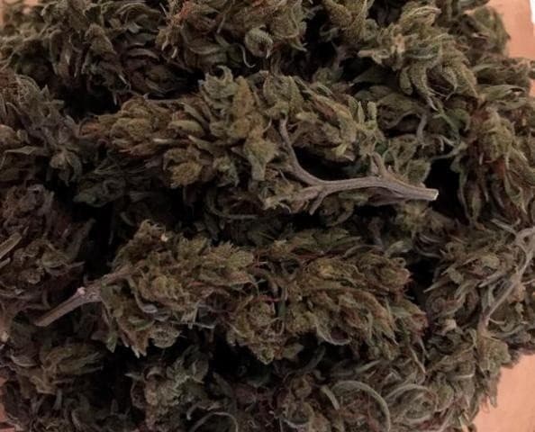 Malawi cannabis strain, community photo 1