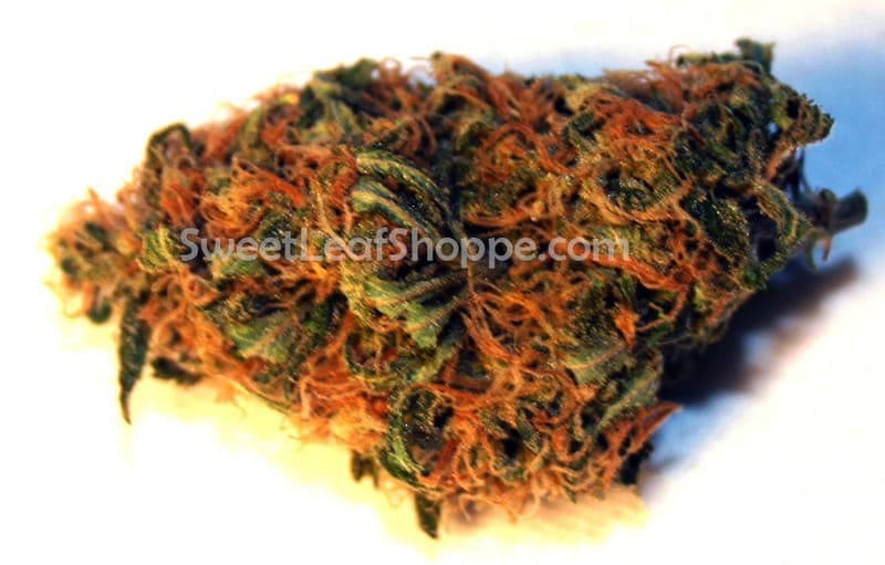 Mango cannabis strain, community photo 1