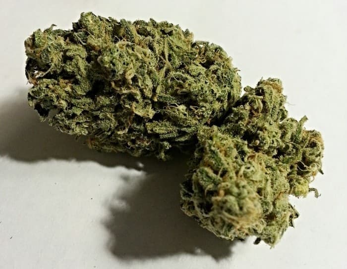 Mango Kush cannabis strain, community photo 1