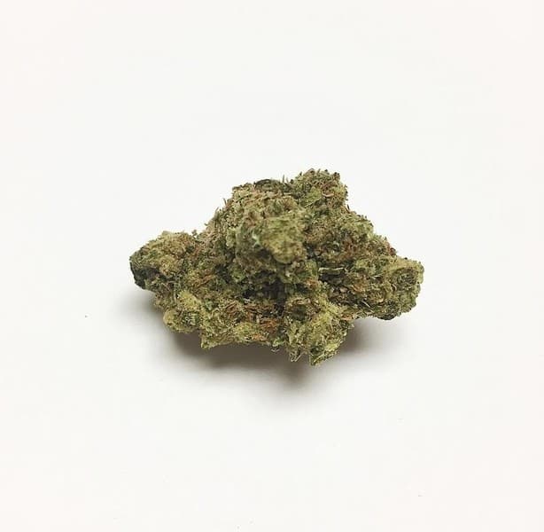 Mango Kush cannabis strain, community photo 2