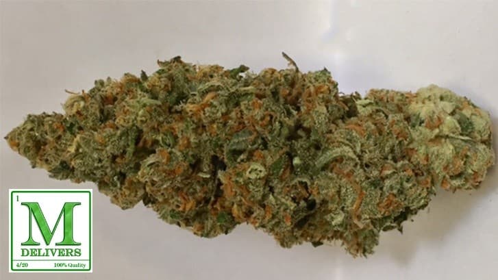 Mango Kush cannabis strain, community photo 4