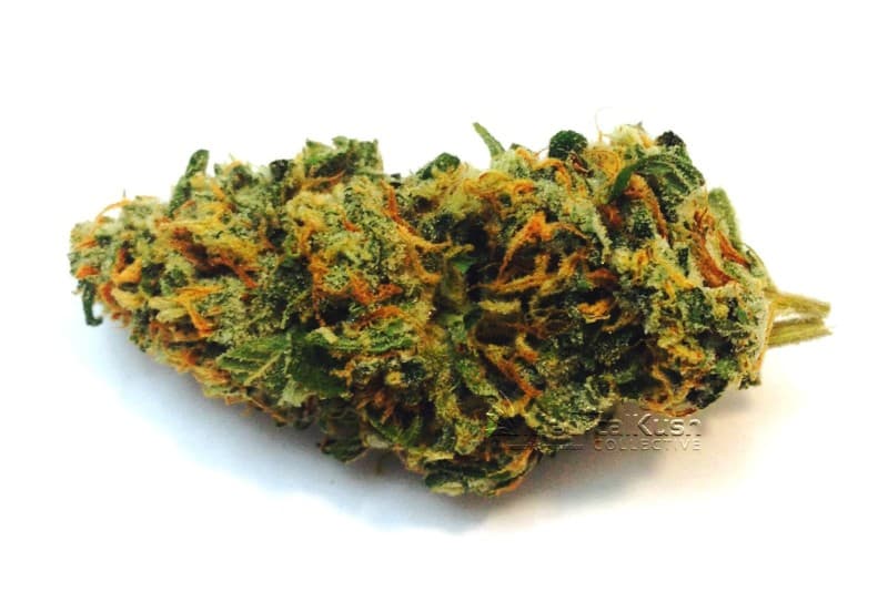 Mango Tango cannabis strain, community photo 1