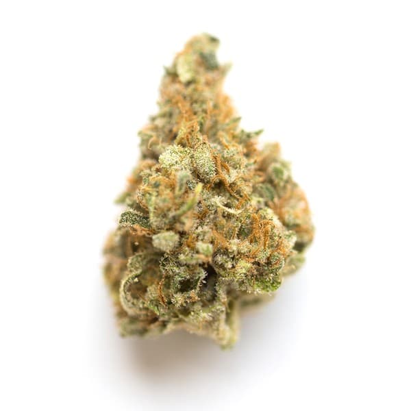 Mango Trees cannabis strain, community photo 1