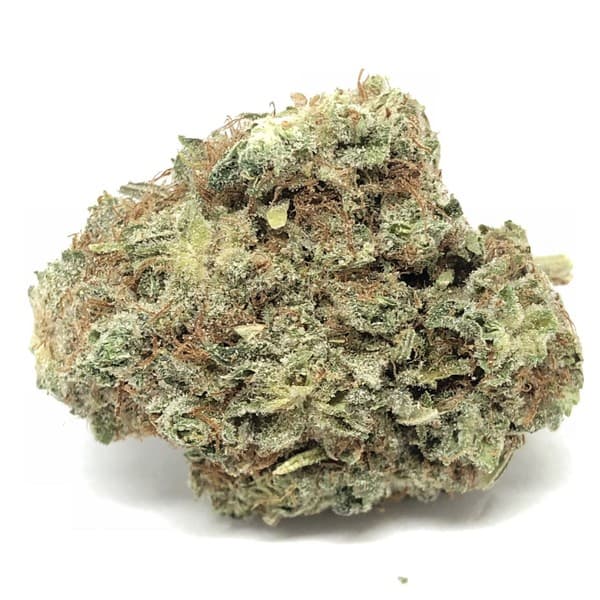 Master Kush cannabis strain, community photo 2