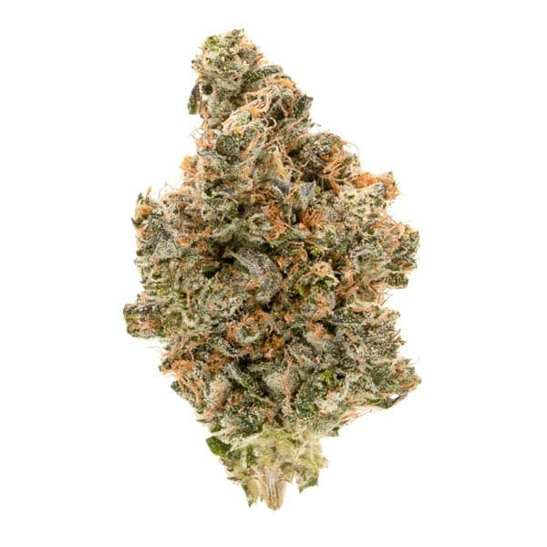 Master Kush cannabis strain, community photo 3