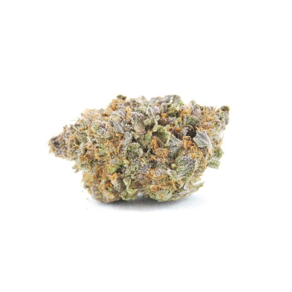 Master Kush cannabis strain, community photo 4