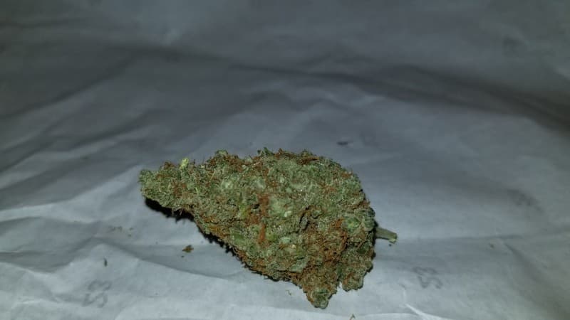 Maui Wowie cannabis strain, community photo 1