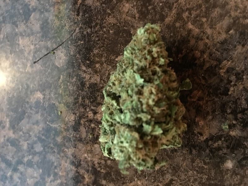 Maui Wowie cannabis strain, community photo 3