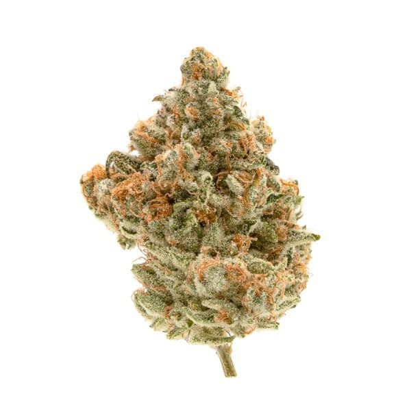 Meat Breath cannabis strain, community photo 2