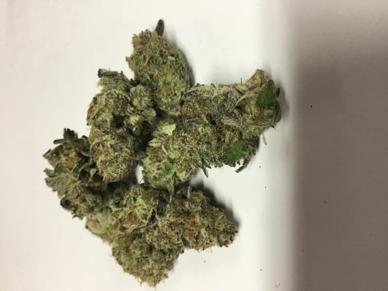 Meat Breath cannabis strain, community photo 3