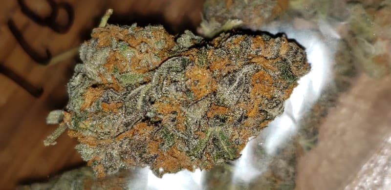 Meat Breath cannabis strain, community photo 4