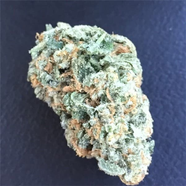 Medellin cannabis strain, community photo 1