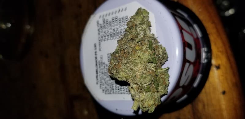 Melonade cannabis strain, community photo 1