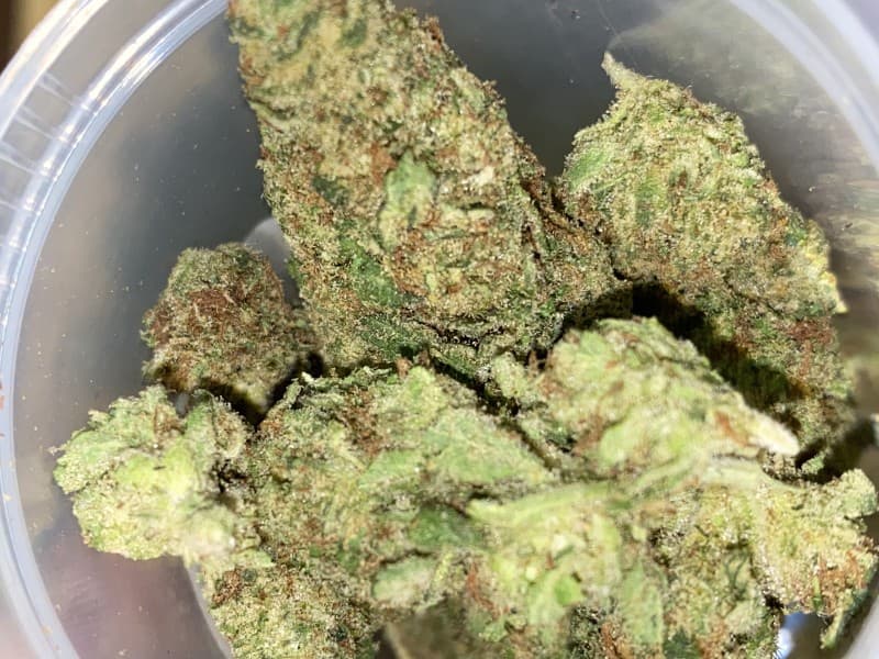 Melonade cannabis strain, community photo 3