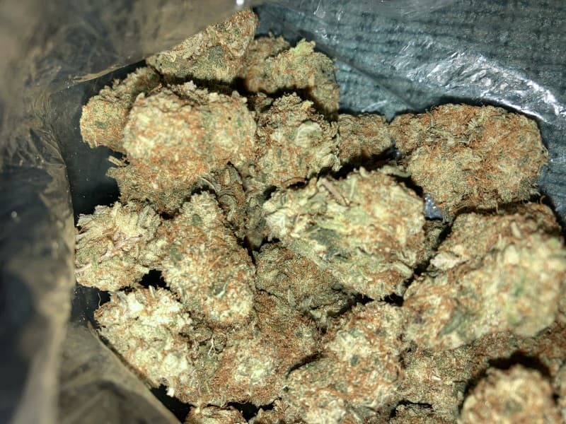 Melonade cannabis strain, community photo 4