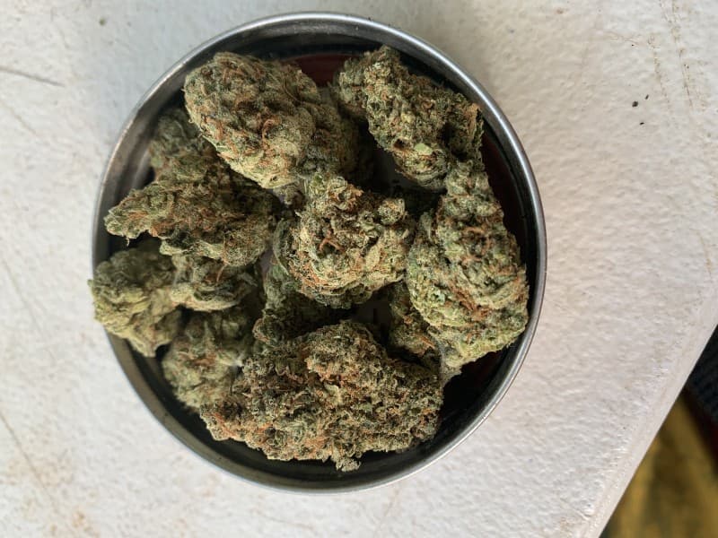 Memory Loss cannabis strain, community photo 2