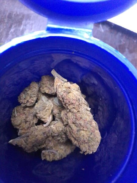 Memory Loss cannabis strain, community photo 3