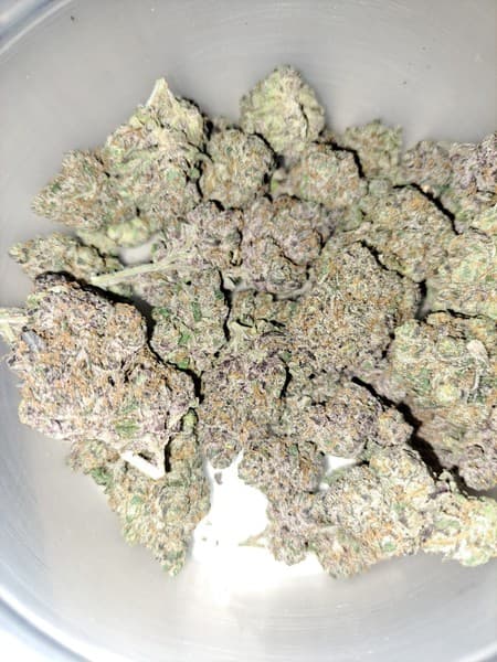 Miami Heat cannabis strain, community photo 1
