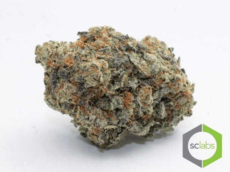 Mimosa cannabis strain, community photo 1