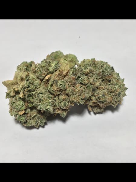 Mimosa cannabis strain, community photo 10