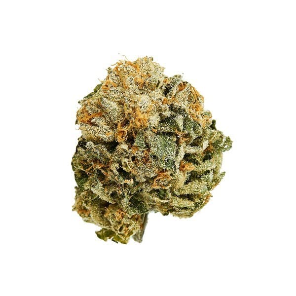 Mimosa cannabis strain, community photo 4
