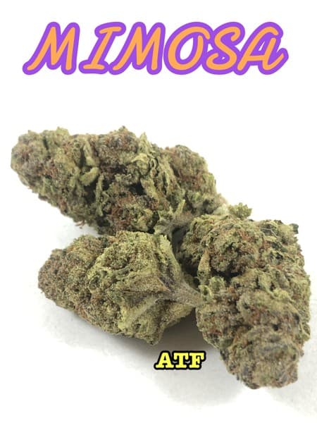 Mimosa cannabis strain, community photo 5