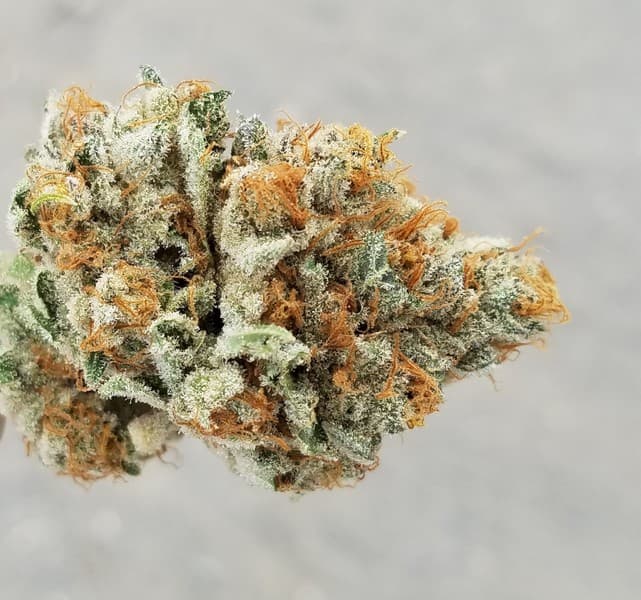 Mimosa cannabis strain, community photo 7