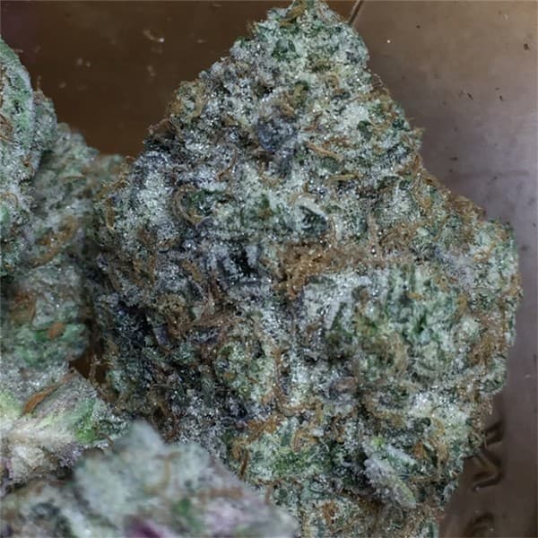 Mint Cake cannabis strain, community photo 1