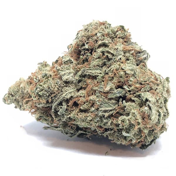 Moby Dick cannabis strain, community photo 1
