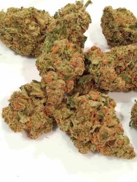 Moby Dick cannabis strain, community photo 3