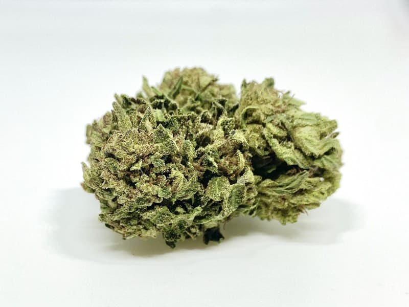 Moby Dick cannabis strain, community photo 4