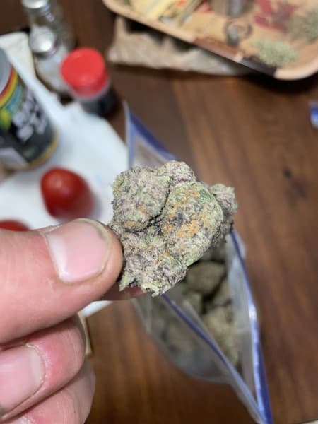 Mochi cannabis strain, community photo 2