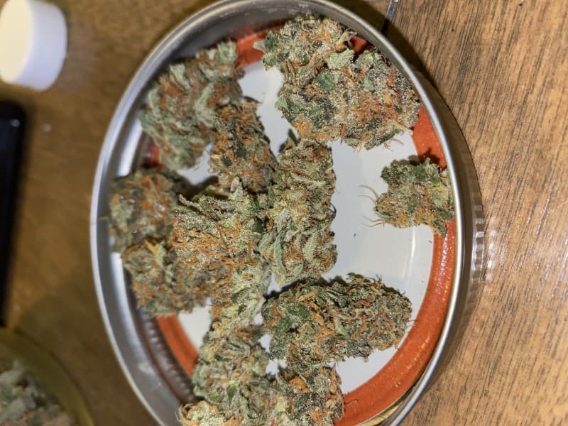 Money Maker cannabis strain, community photo 2