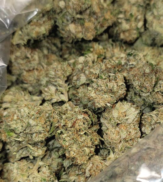 Moonbow cannabis strain, community photo 1