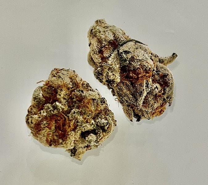Moonbow cannabis strain, community photo 2