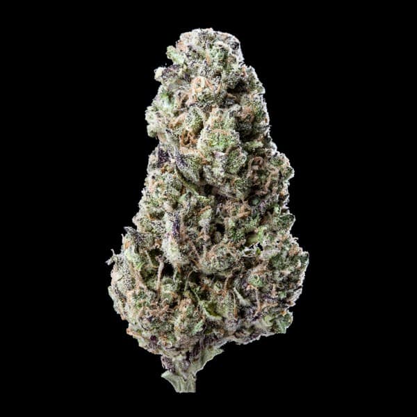 Mule Fuel cannabis strain, community photo 1