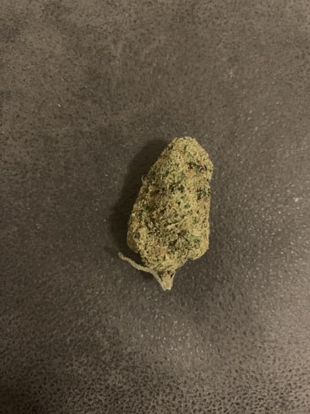 Mule Fuel cannabis strain, community photo 4