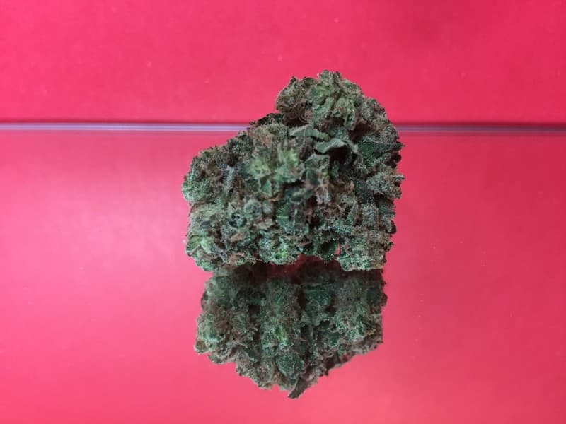 NYC Diesel cannabis strain, community photo 1