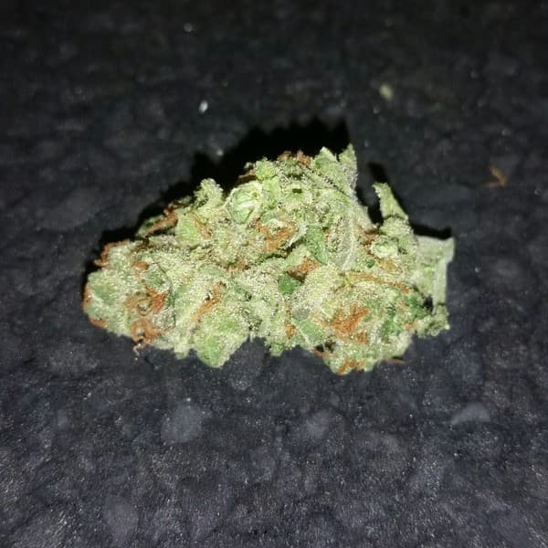 NYC Diesel cannabis strain, community photo 3