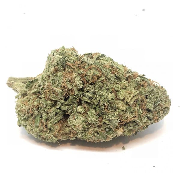 NYC Diesel cannabis strain, community photo 4
